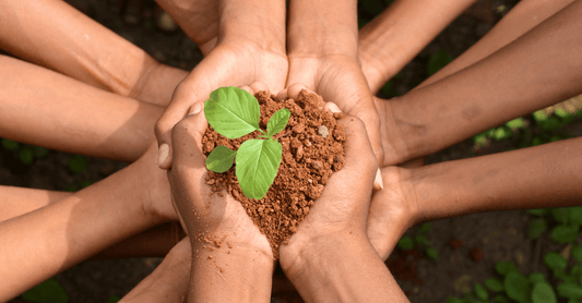 Como os povos indígenas sustentam o meio ambiente e preservam a floresta