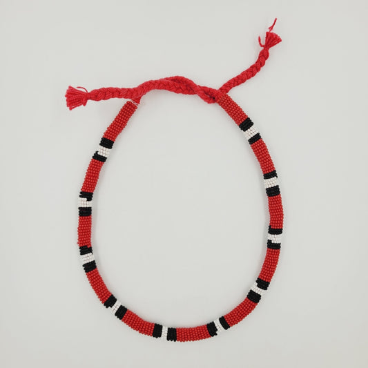 Colar de Miçanga Cobra Coral Povo Waura