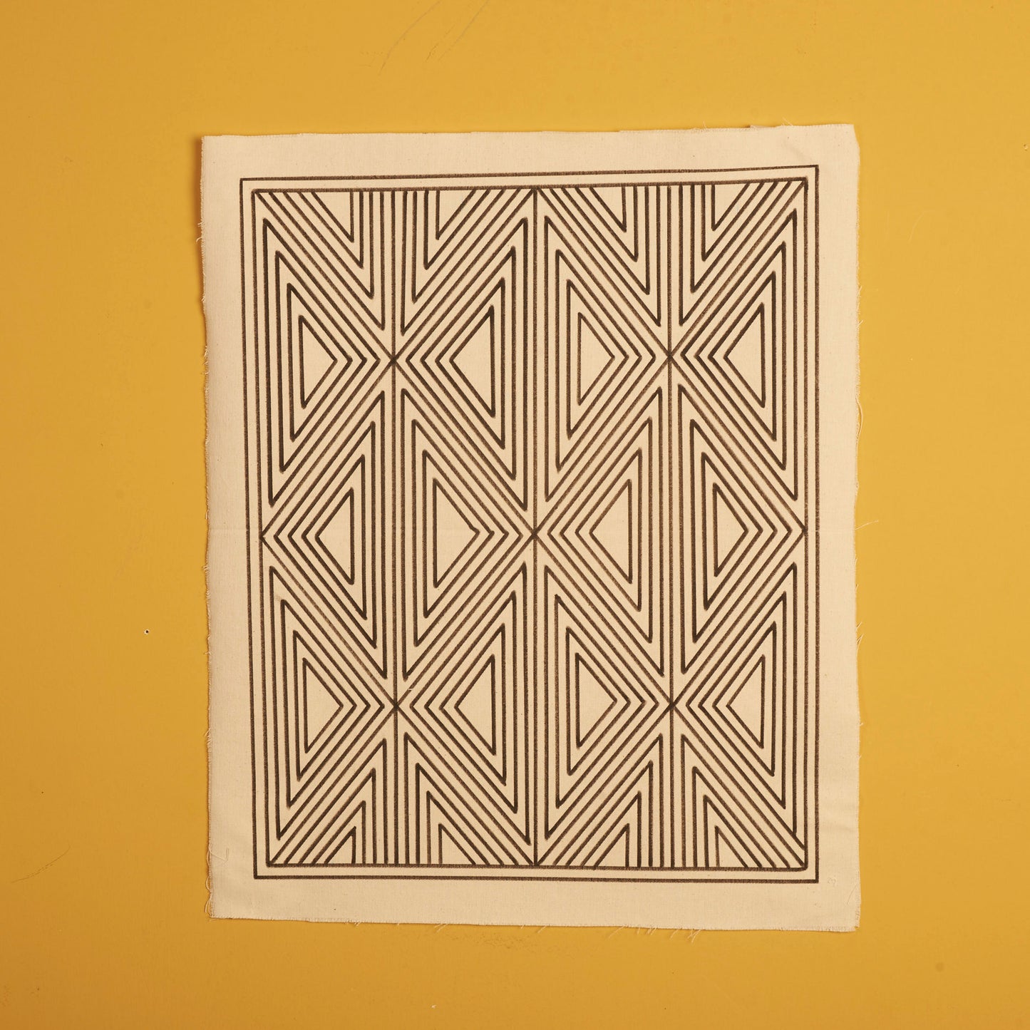 Grafismo em Tela com Tinta Povo Kuikuro