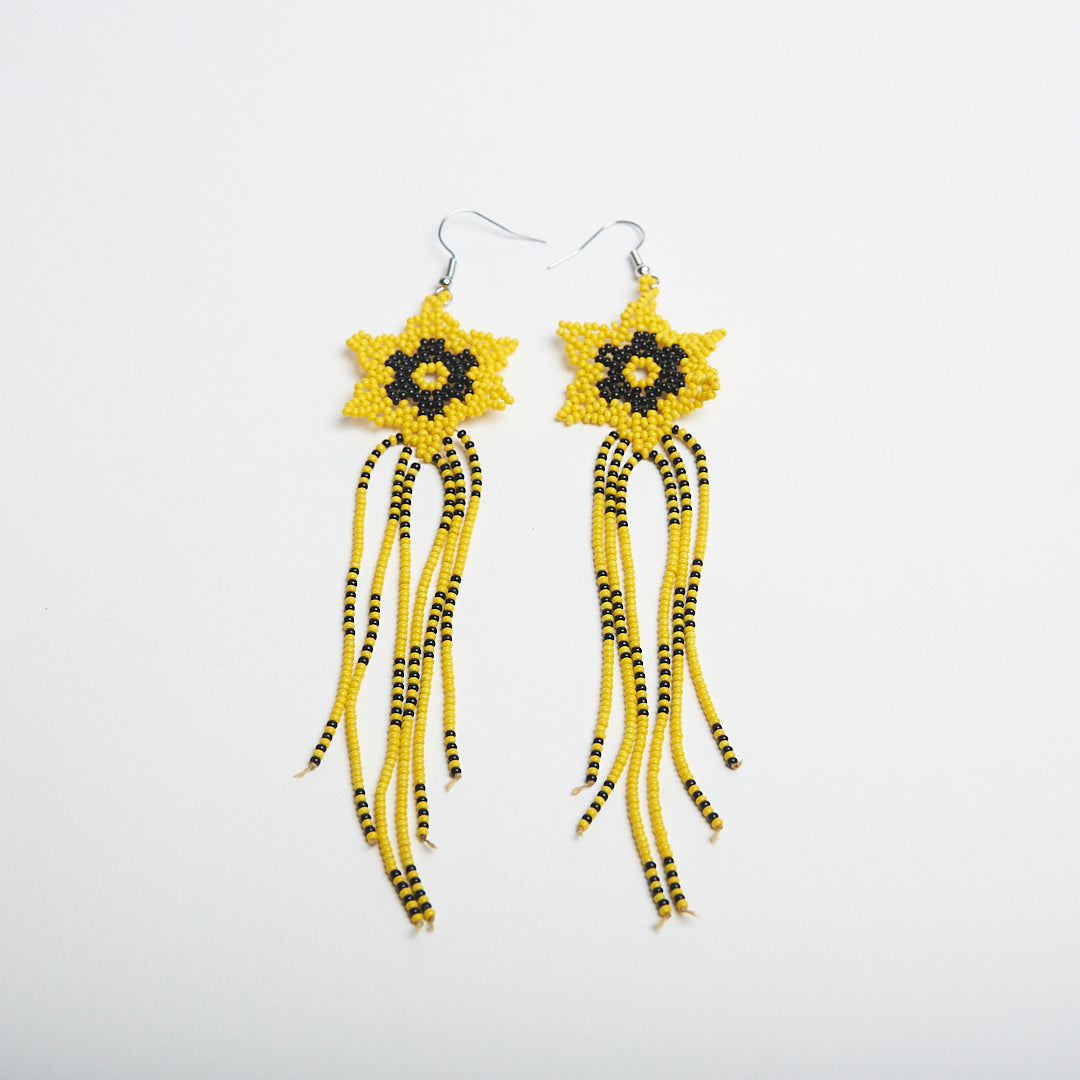 Brinco Artesanal de Miçanga Povo Kanela