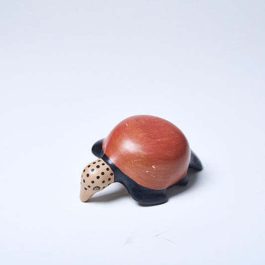 Cerâmica Indígena Povo Waura