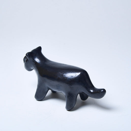 Cerâmica Indígena Povo Waura