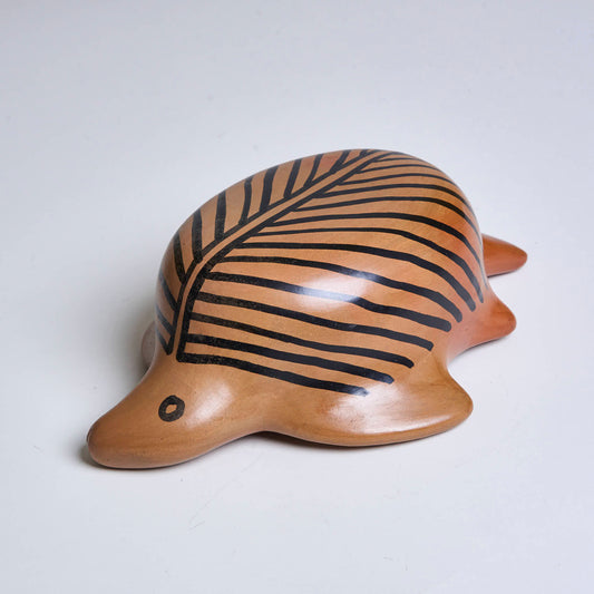 Cerâmica Indígena Povo Waura