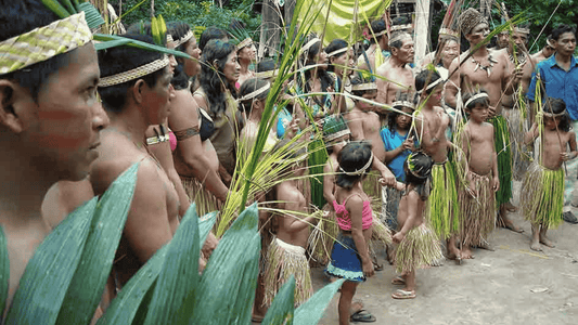 Apurinã: Guardiões da Floresta e da cultura Ancestral