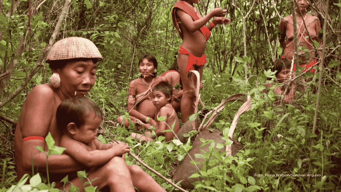 Artesanato Yanomami com fungos: arte viva da floresta