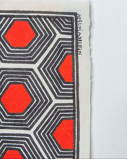 Grafismo em Tecido Preto Vermelho e Branco Asurini