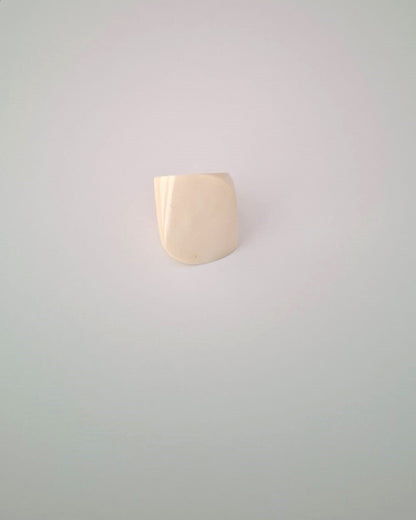 Anel de Osso Povo Pataxó