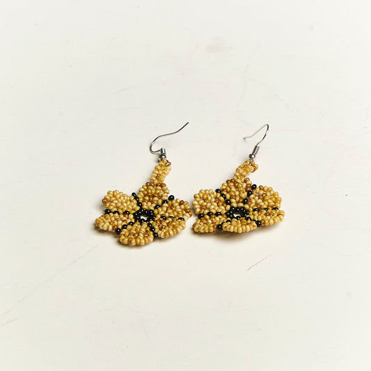 Brinco de Sementes Povo Indígena Krahô