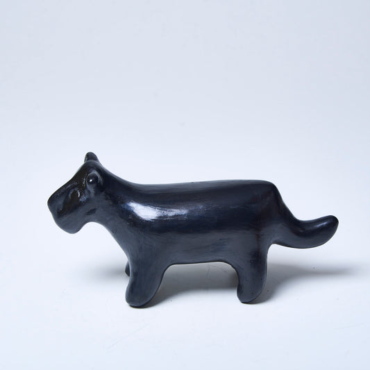 Cerâmica Indígena Povo Waura