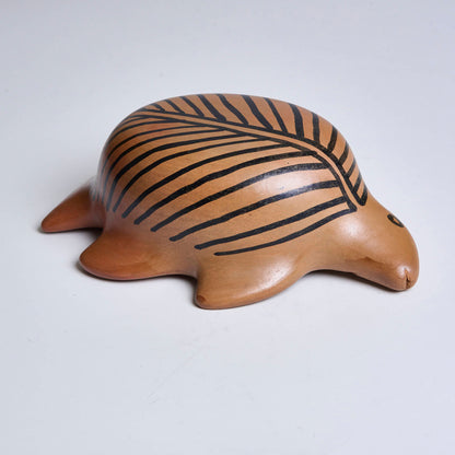 Cerâmica Indígena Povo Waura