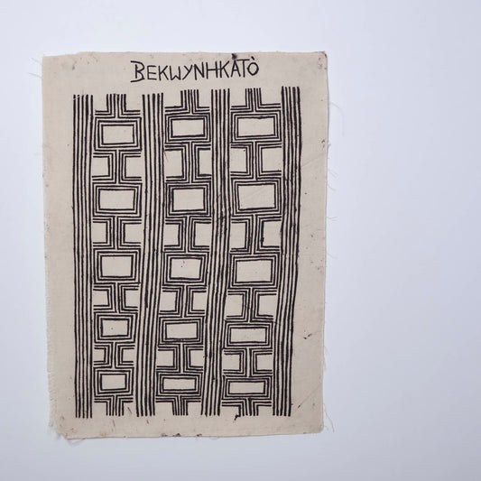 Pintura Grafismos Kayapó